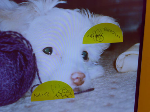 Fancy screensaver, closeup